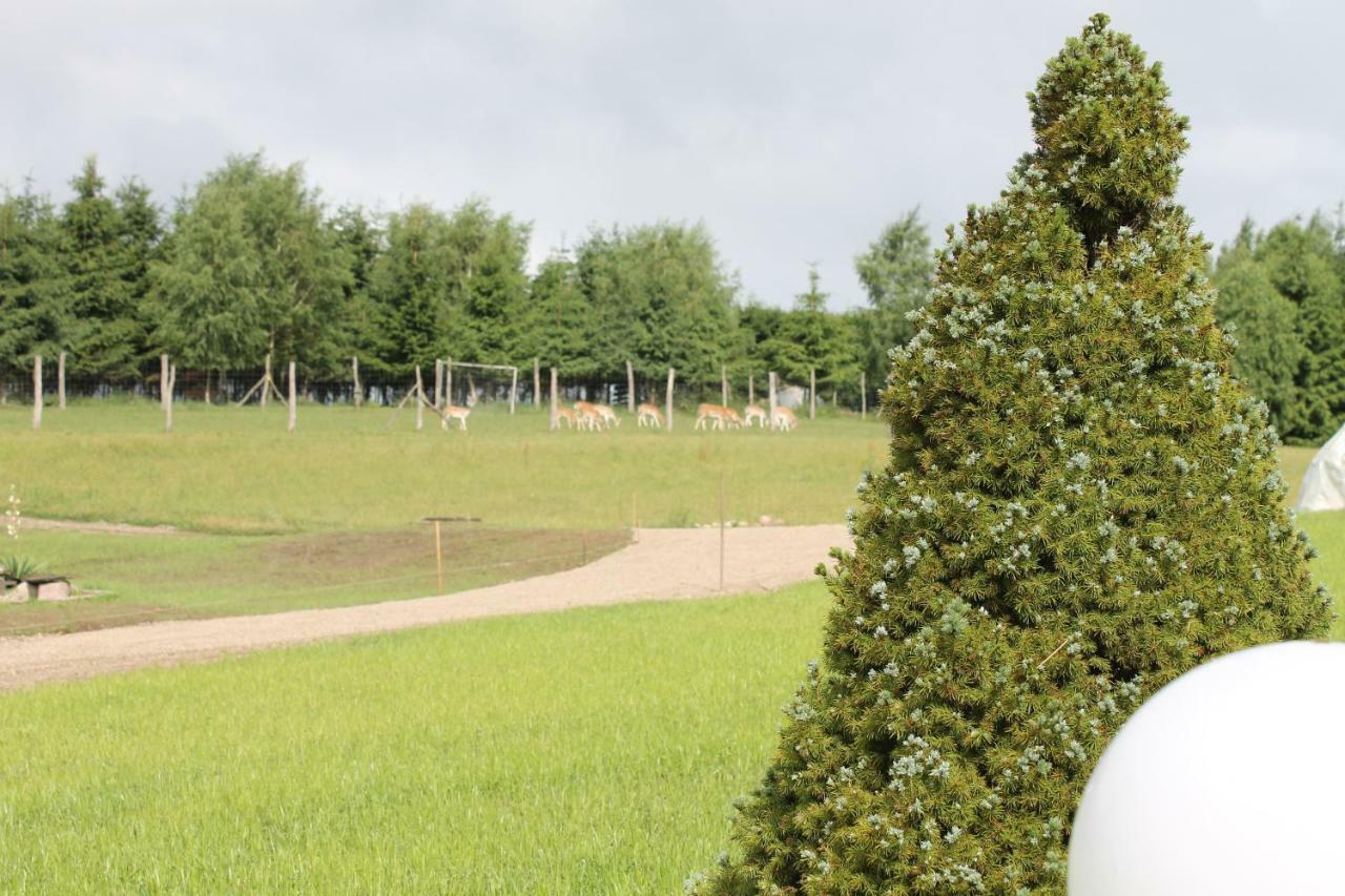 Przystan Nad Zatoka - Gospodarstwo Agroturystyczne Lubieszewo (Drawsko) Exterior foto